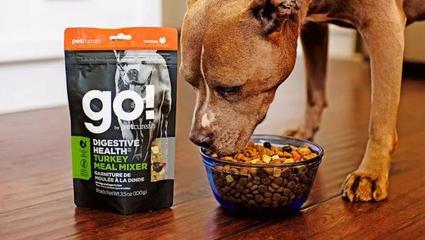 精彩創(chuàng)意設(shè)計——寵物糧食品類新趨勢