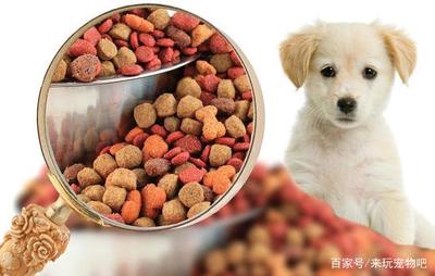 寵物食品公司如何科學確定寵物們的口味偏好