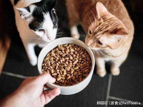 未來五年寵物食品包裝市場 年復合增長率6.79%背后的機遇與挑戰