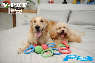 廣州寵物食品進口操作流程與手續全解析