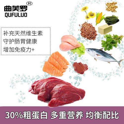 曲芙羅寵物食品 為貓主子挑選罐頭的五大實用妙招